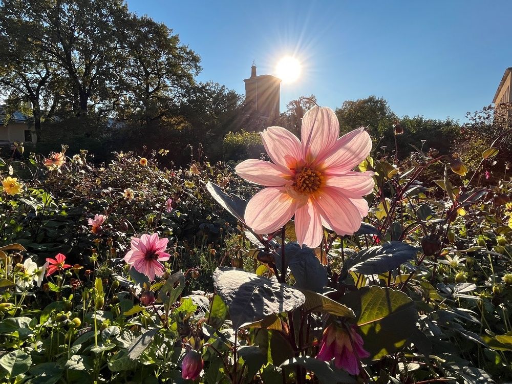 Photograph by Болдырева Ольга
