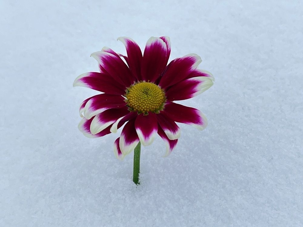 Photograph by Болдырева Ольга