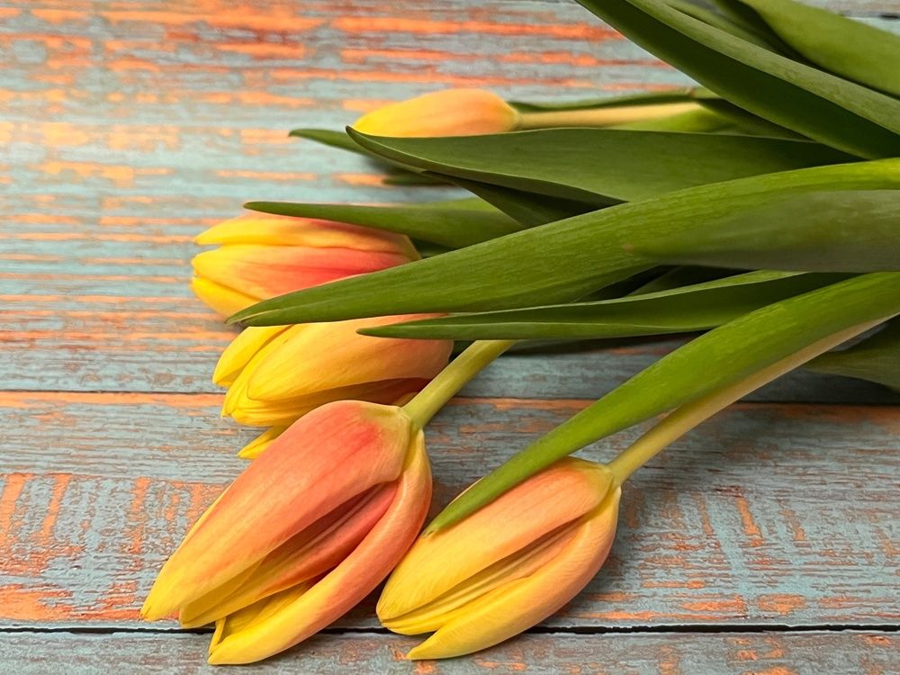 Photograph by Болдырева Ольга