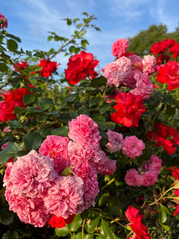 Photograph by Болдырева Ольга