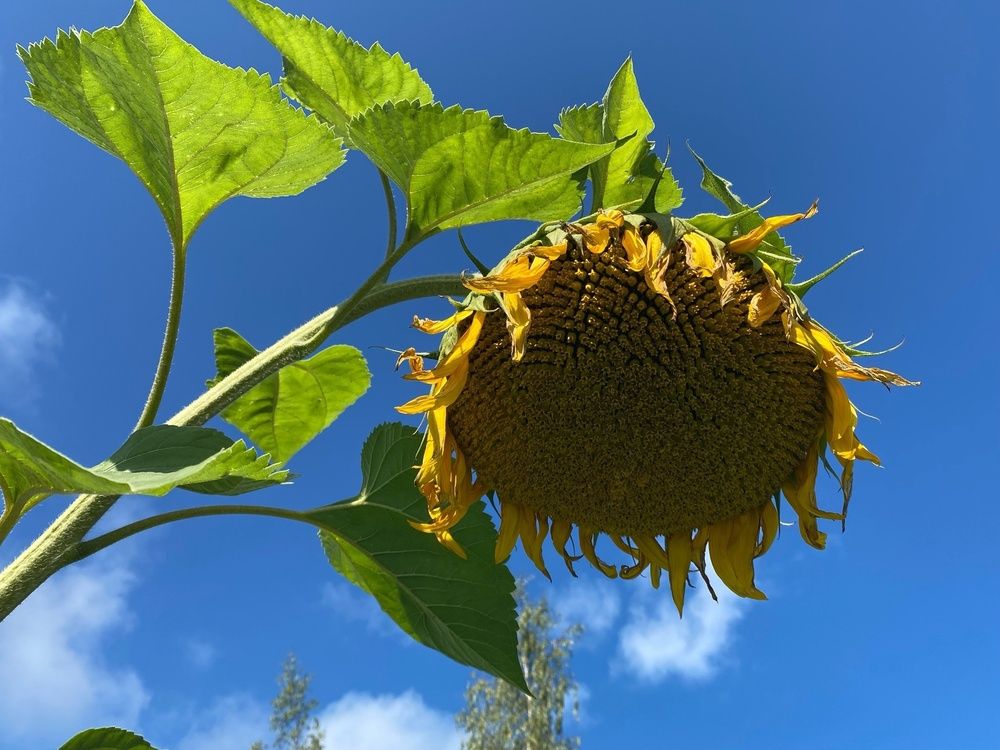 Photograph by Болдырева Ольга