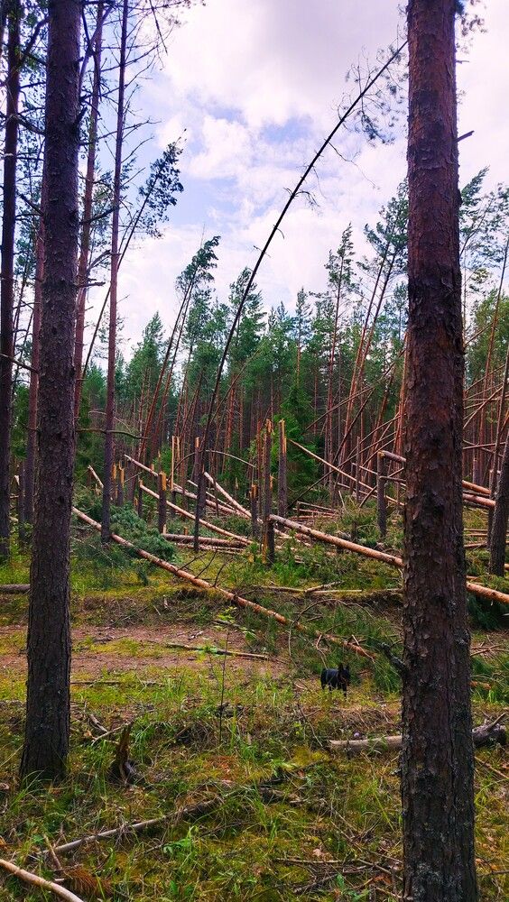 Photograph by Людмила Ваганова