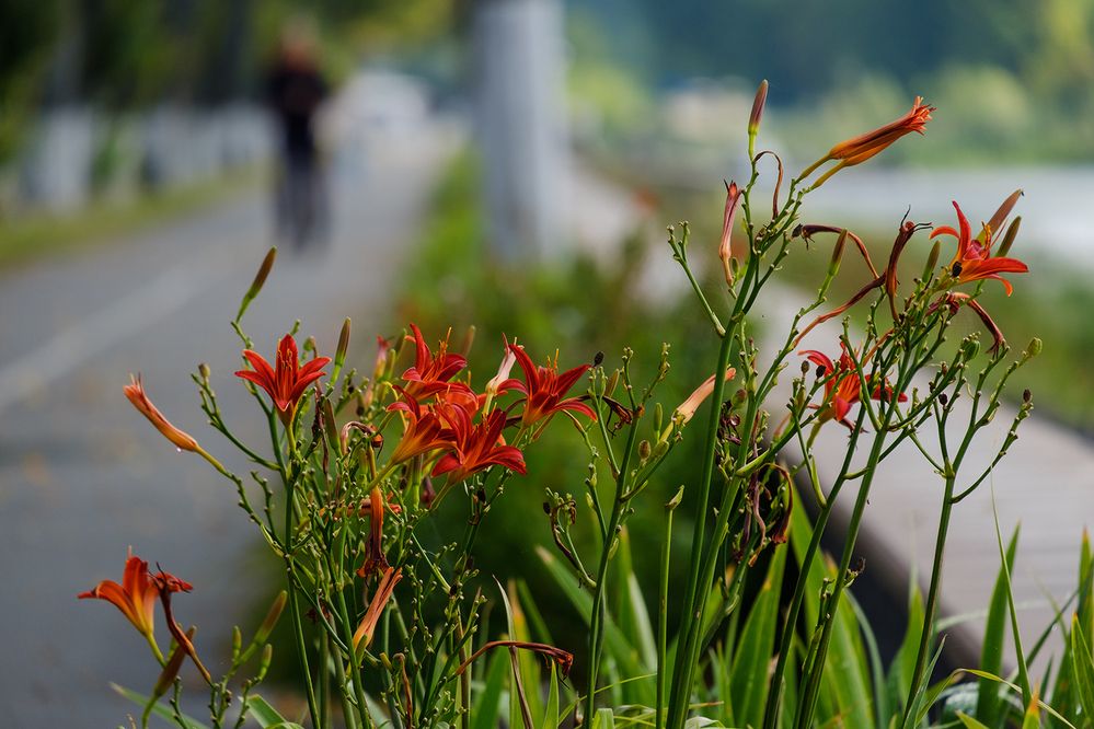 Photograph by Александр Шатохин