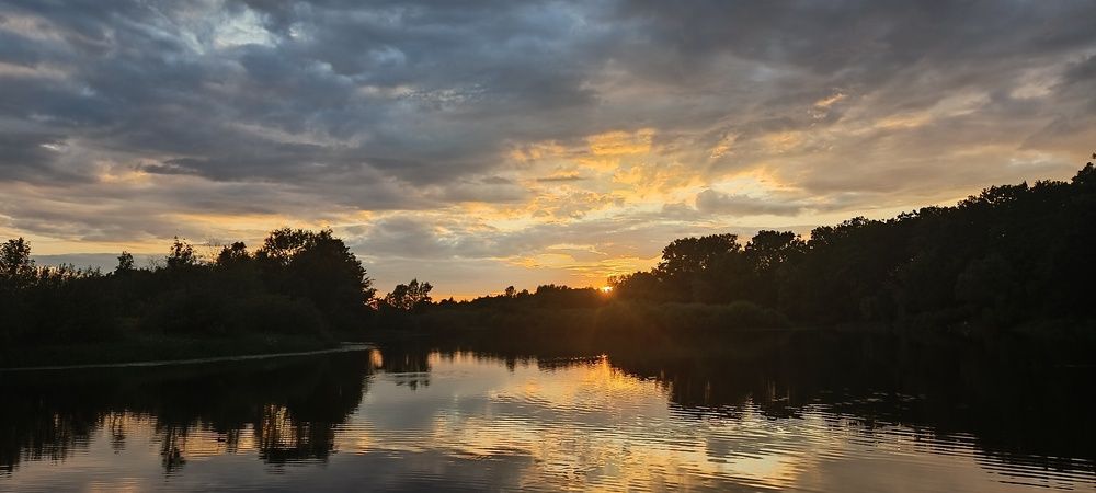 Photograph by Mishel Photographer