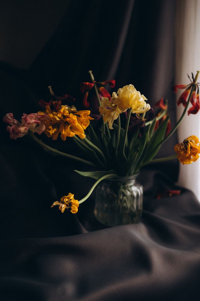 Photograph by Оксана Артимович