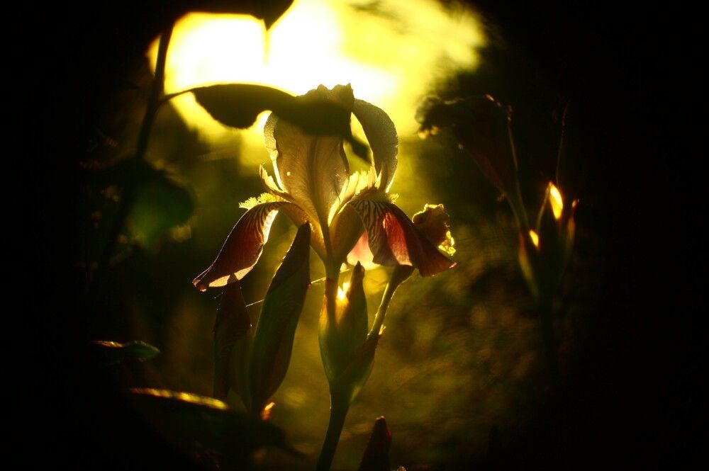 Photograph by Павел Швецов