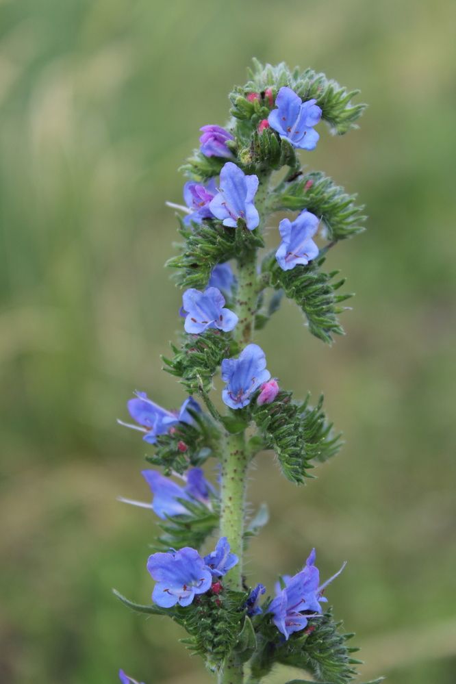 Photograph by Елена Коробченко