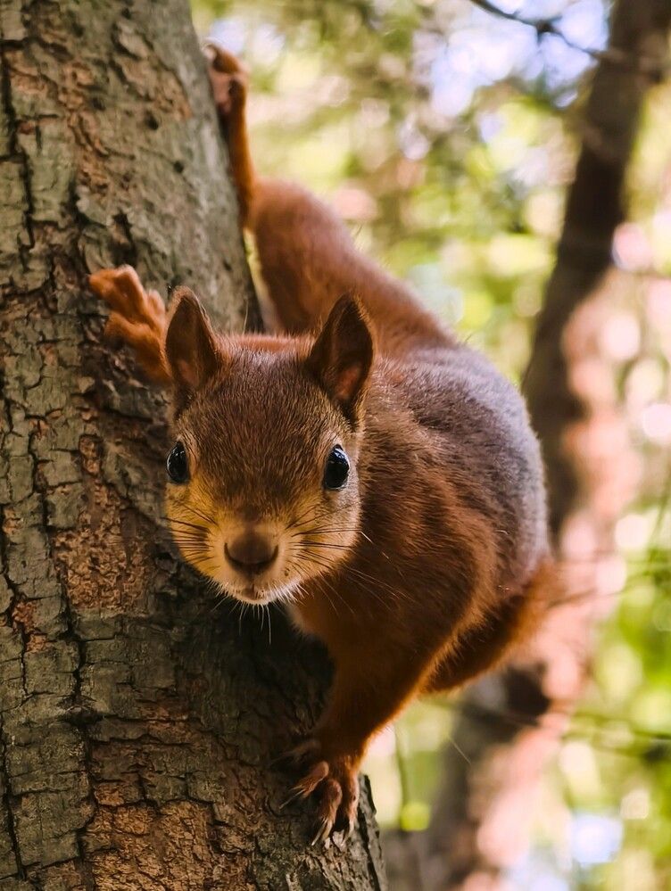 Photograph by Галина