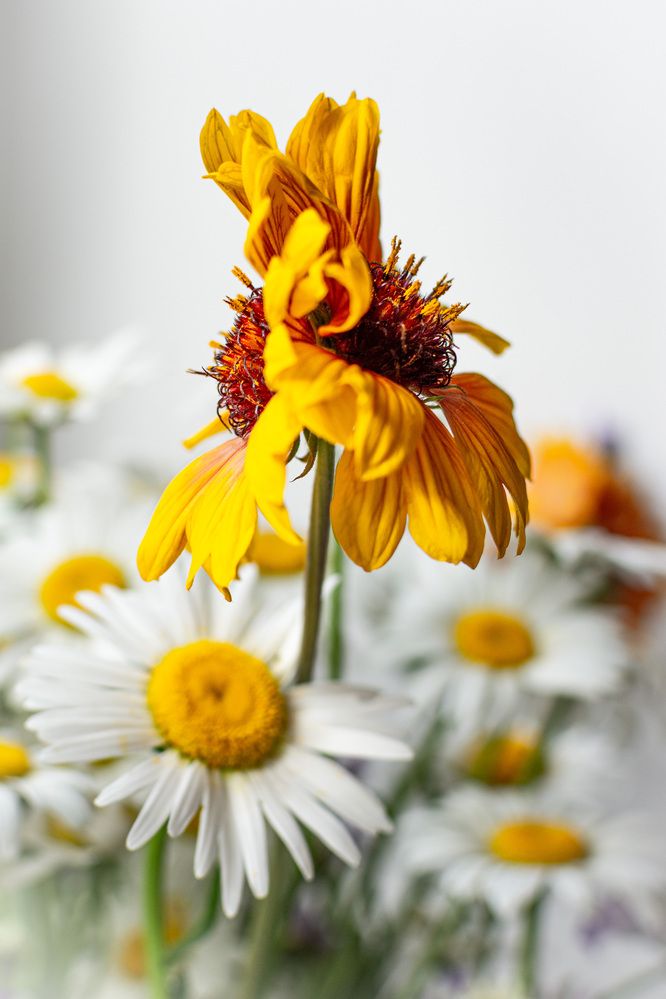 Photograph by Наталья Кокорина