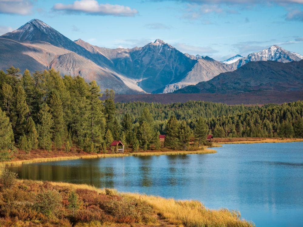 Сокровище у обочины