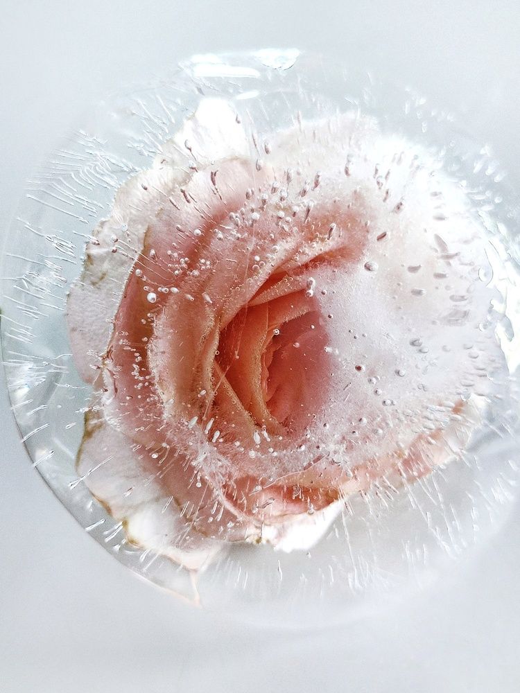 Photograph by Хоменчук Людмила