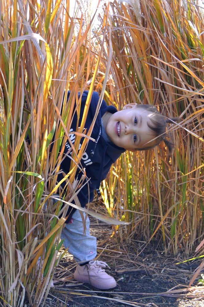 Photograph by Наталья Назаренко