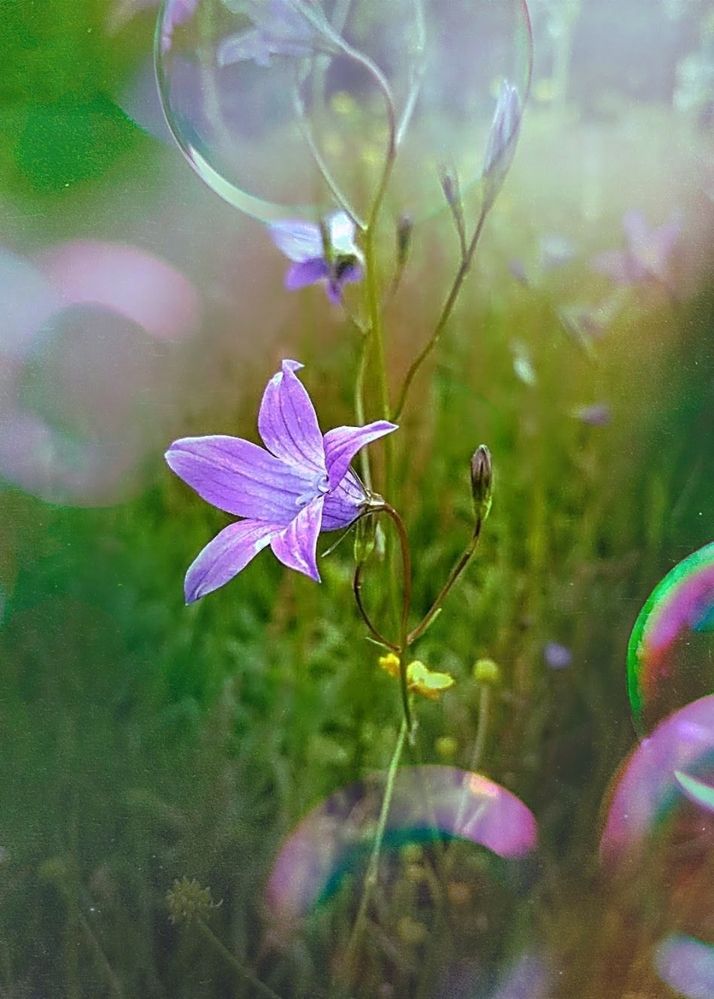 Photograph by Анна Андреевна