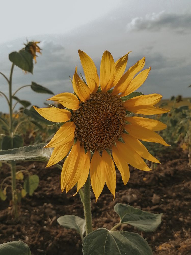 Photograph by Наталия Соболева