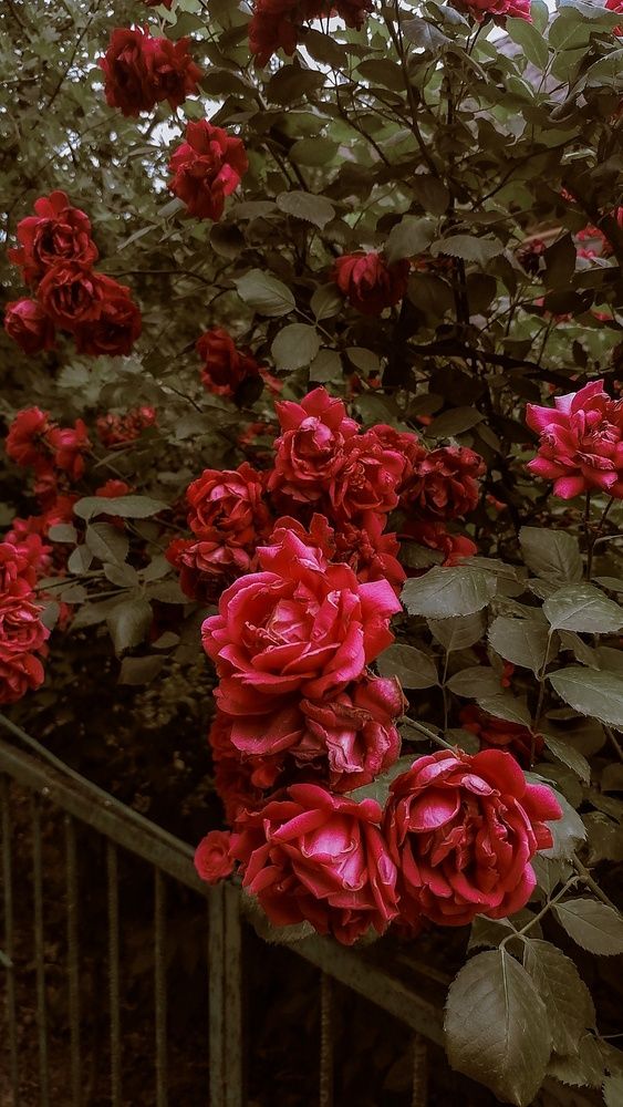 Photograph by Наталия Соболева