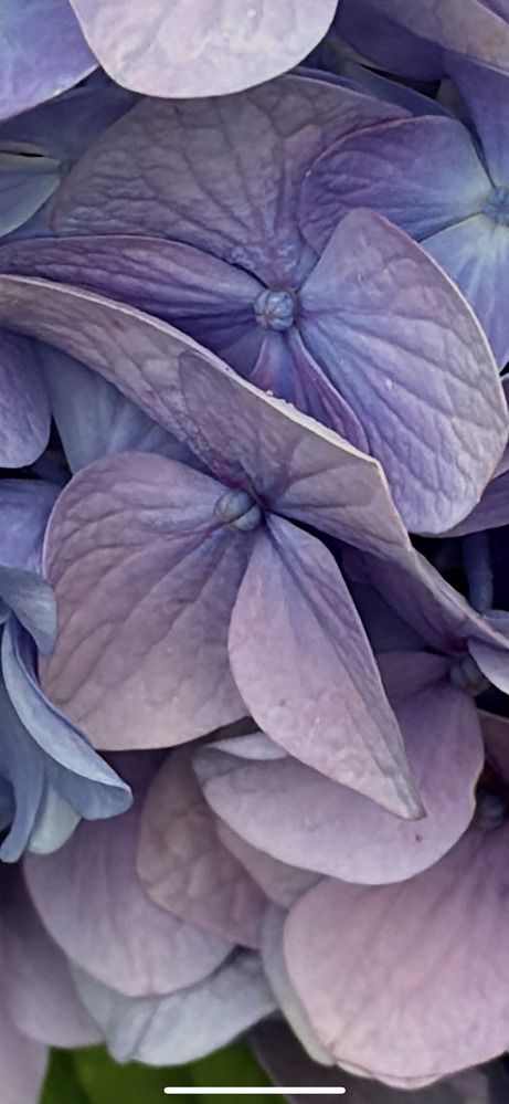 Photograph by Nagasaki Marina