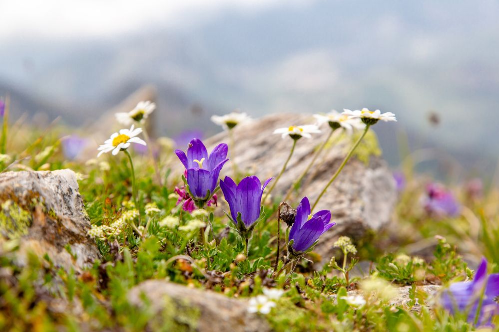 Photograph by Семенов Александр