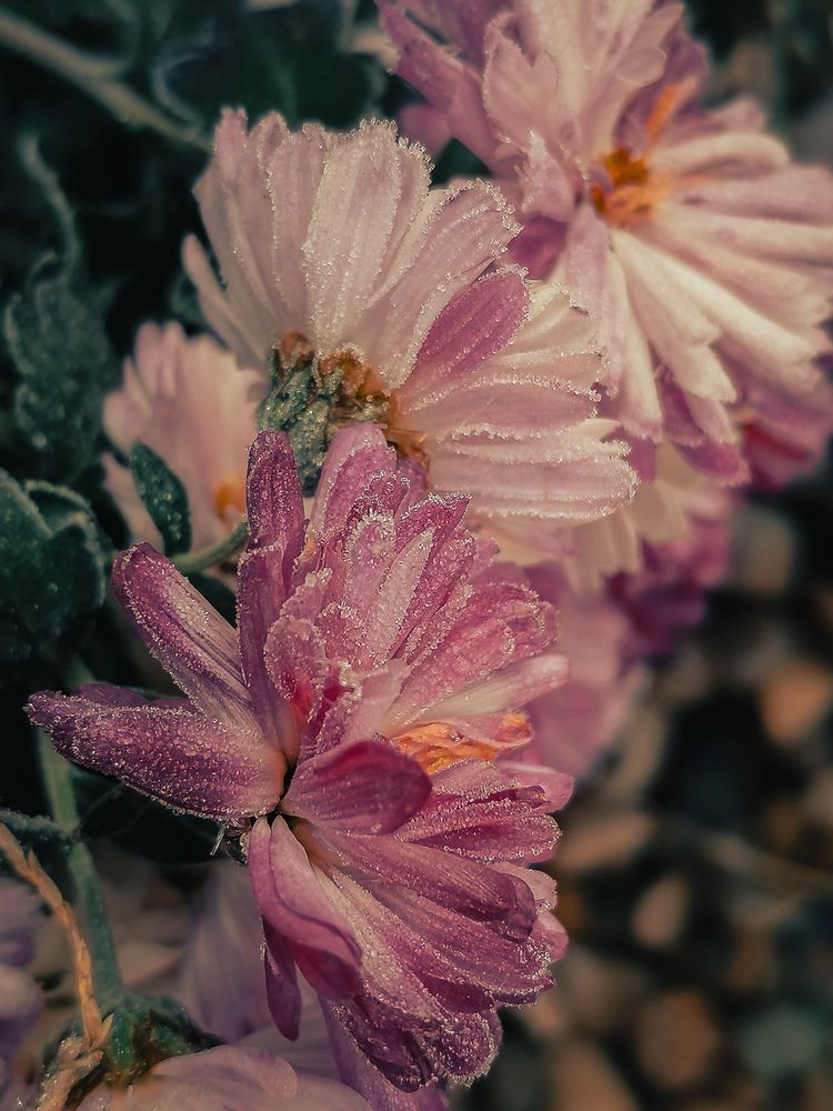 Photograph by Наталия Соболева