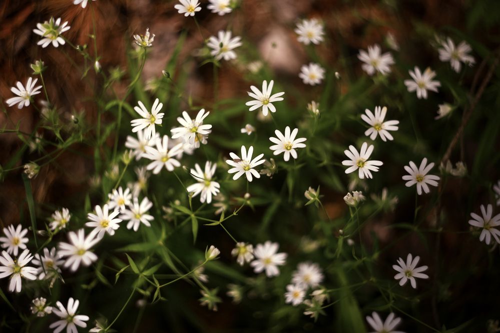 Photograph by Анастасия Китаева