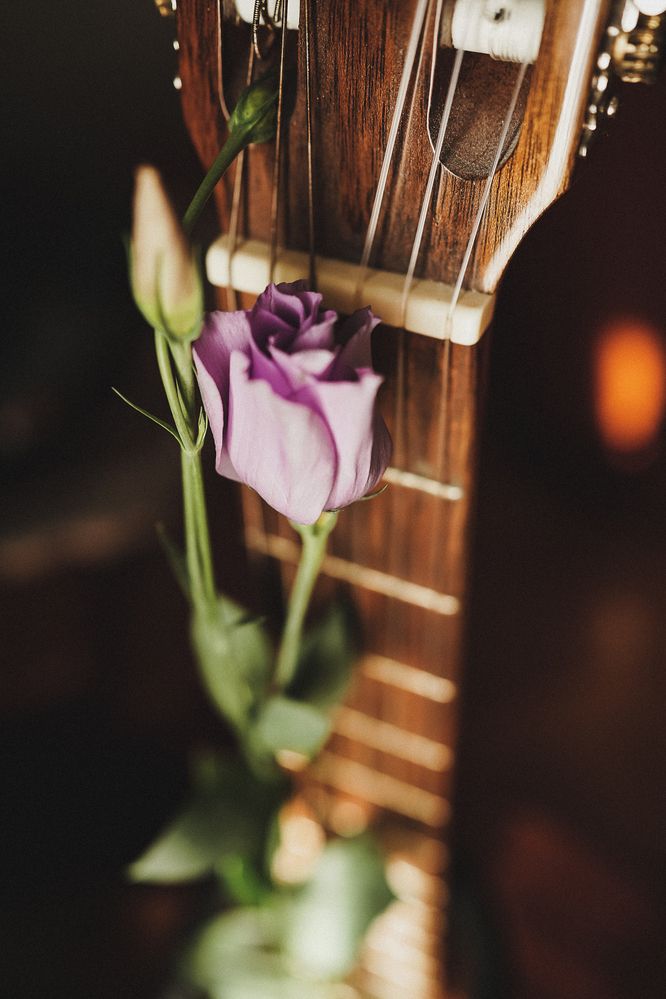 Photograph by Анастасия Китаева