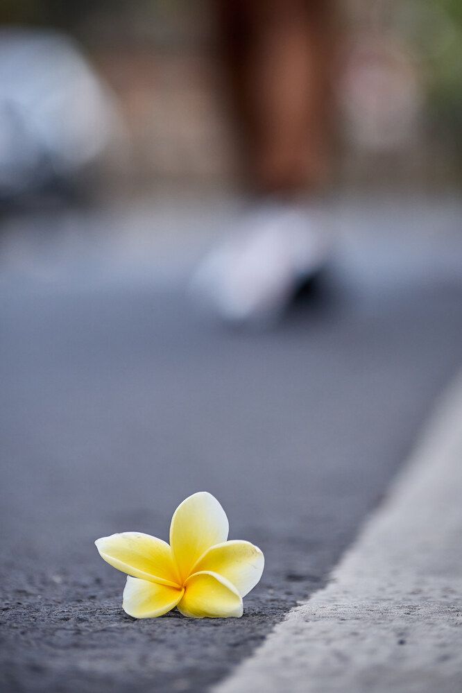 Фотография автора Павел Золенко