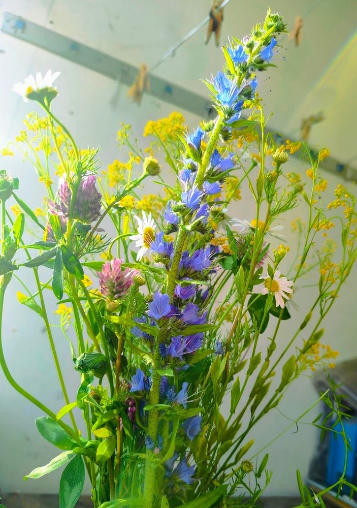 Photograph by Людмила Муравьева