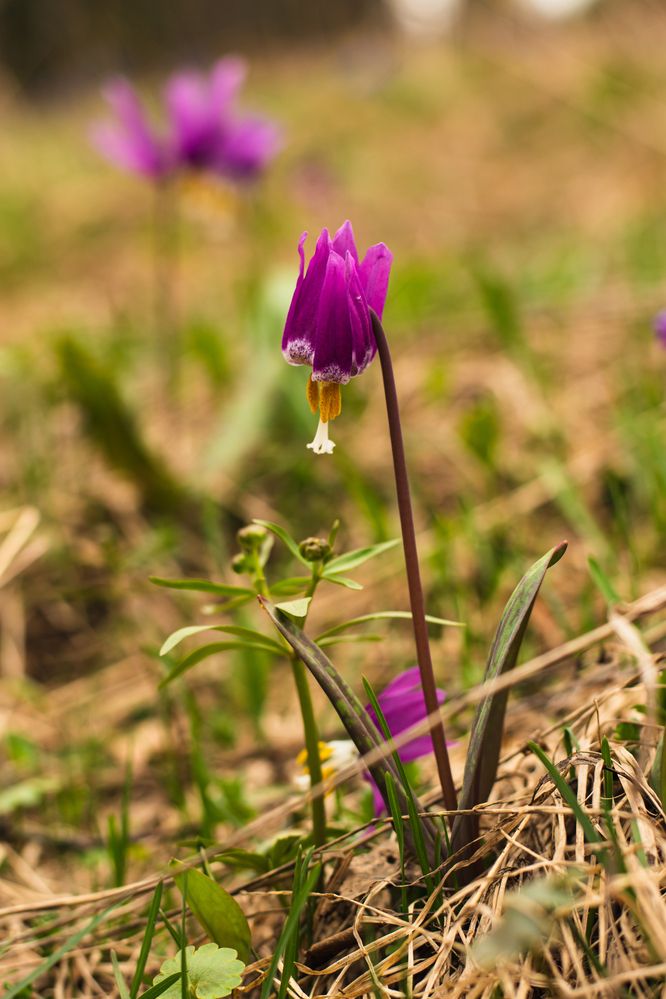 Photograph by Ирина Корнева