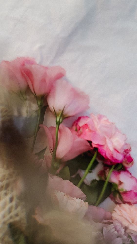 Photograph by Диана Галиуллина