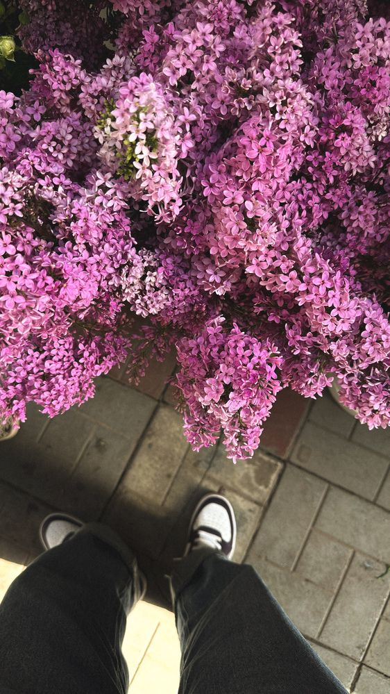 Photograph by Диана Галиуллина