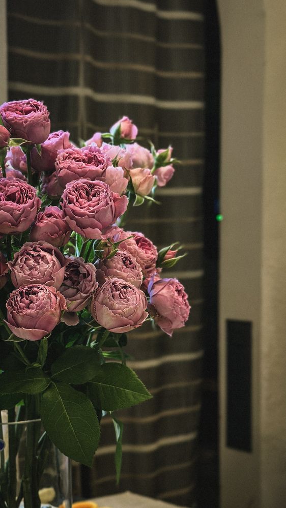 Photograph by Диана Галиуллина