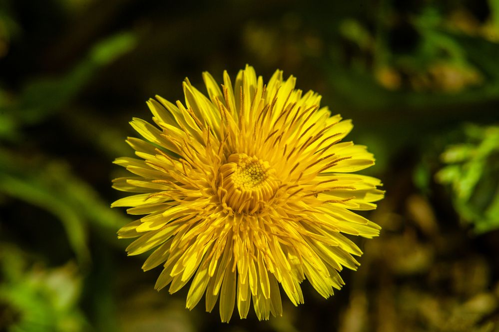 Photograph by Семенов Александр