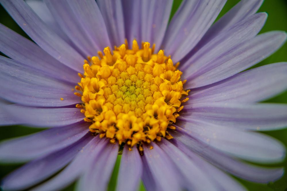 Photograph by Семенов Александр