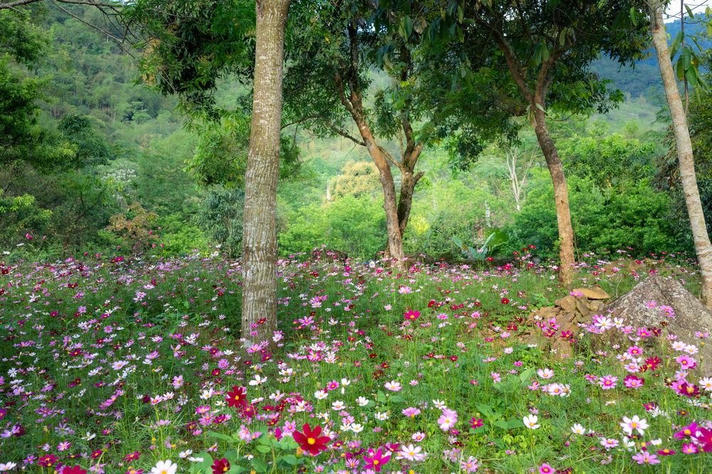 Photograph by esti lahat