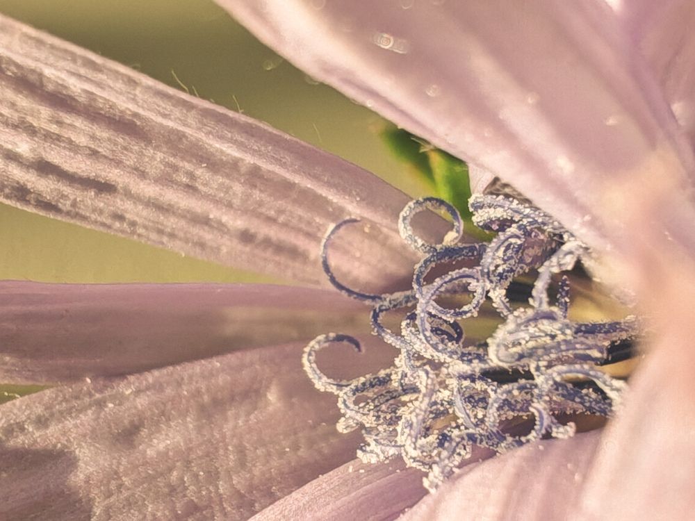 Photograph by Ольга