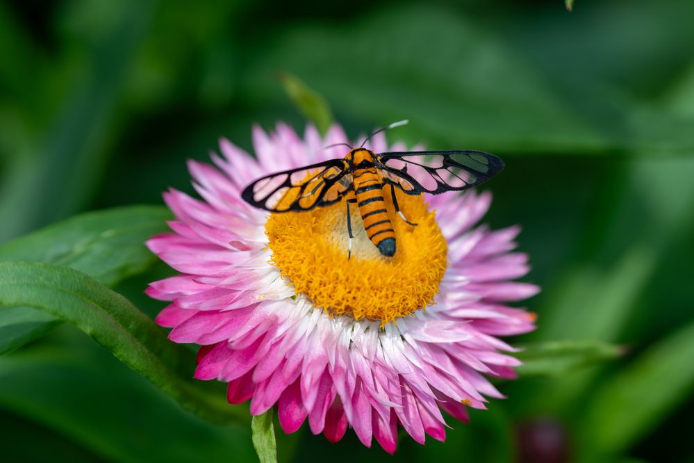 Photograph by esti lahat