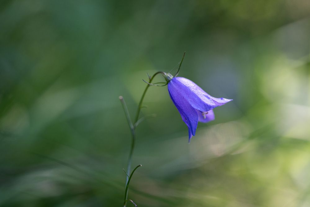 Photograph by Алексей Поликарпов