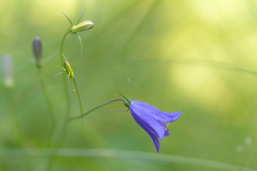 Photograph by Алексей Поликарпов