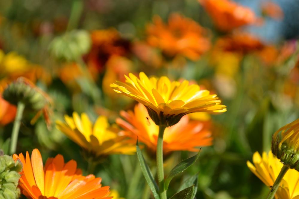 Photograph by Николай Дмитриев