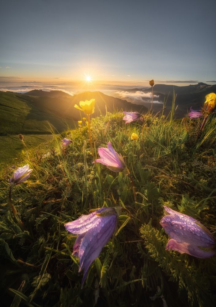 Photograph by Василий Яковлев