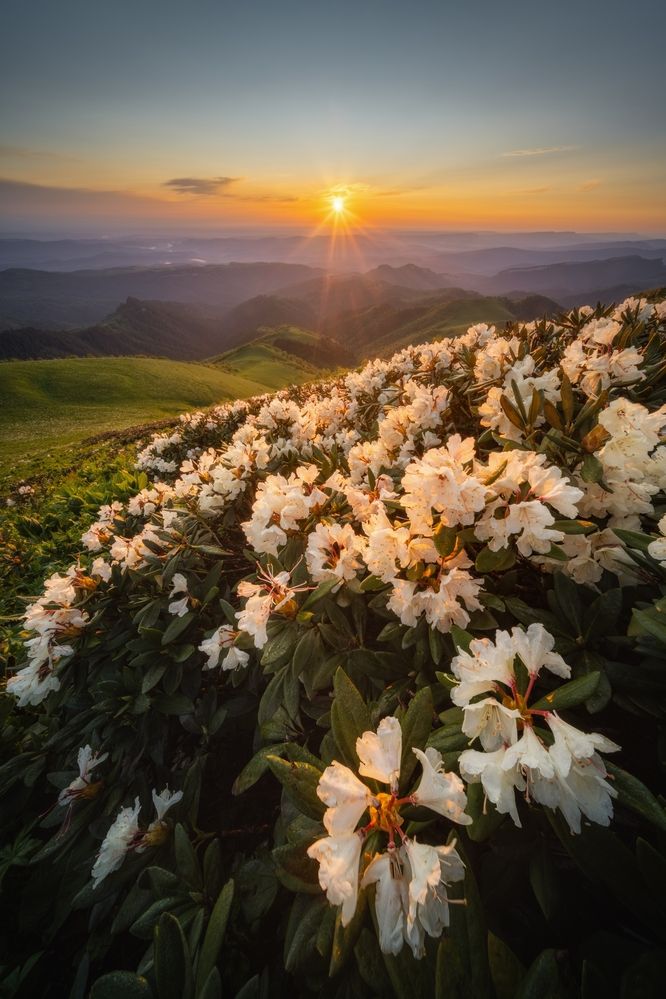 Photograph by Василий Яковлев