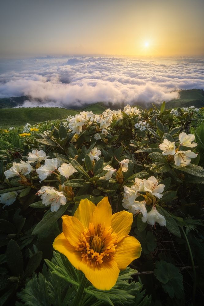 Photograph by Василий Яковлев