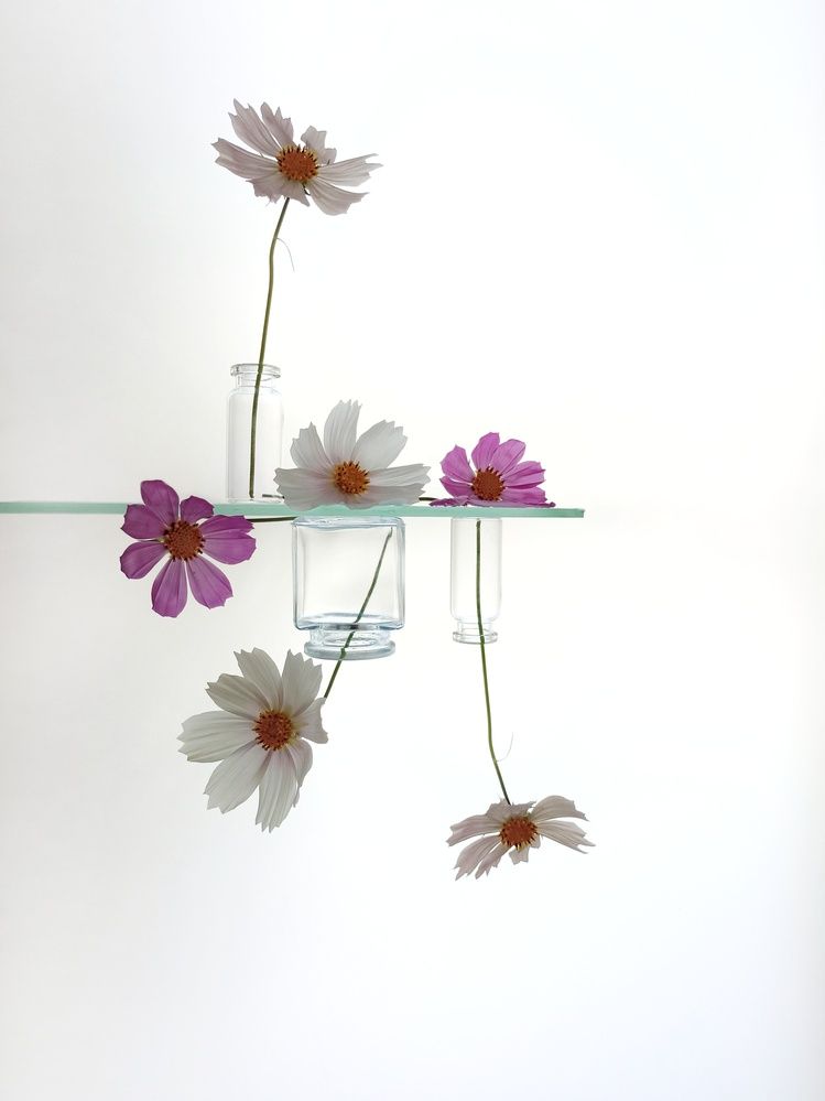 Фотография автора Татьяна Шахова