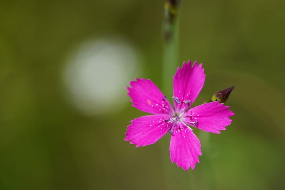Photograph by Алексей Поликарпов