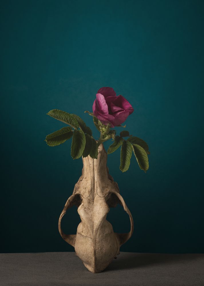 Photograph by Aliaksei Shandalin