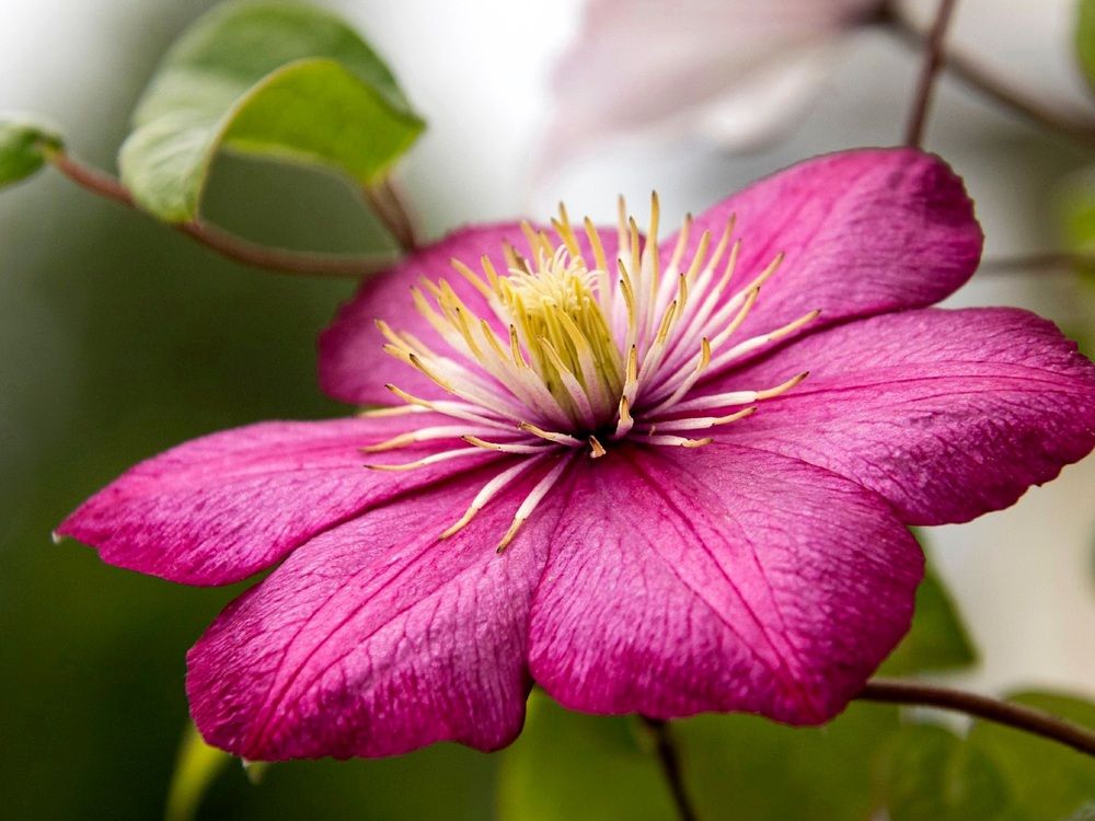 Photograph by Валентина Куренкова