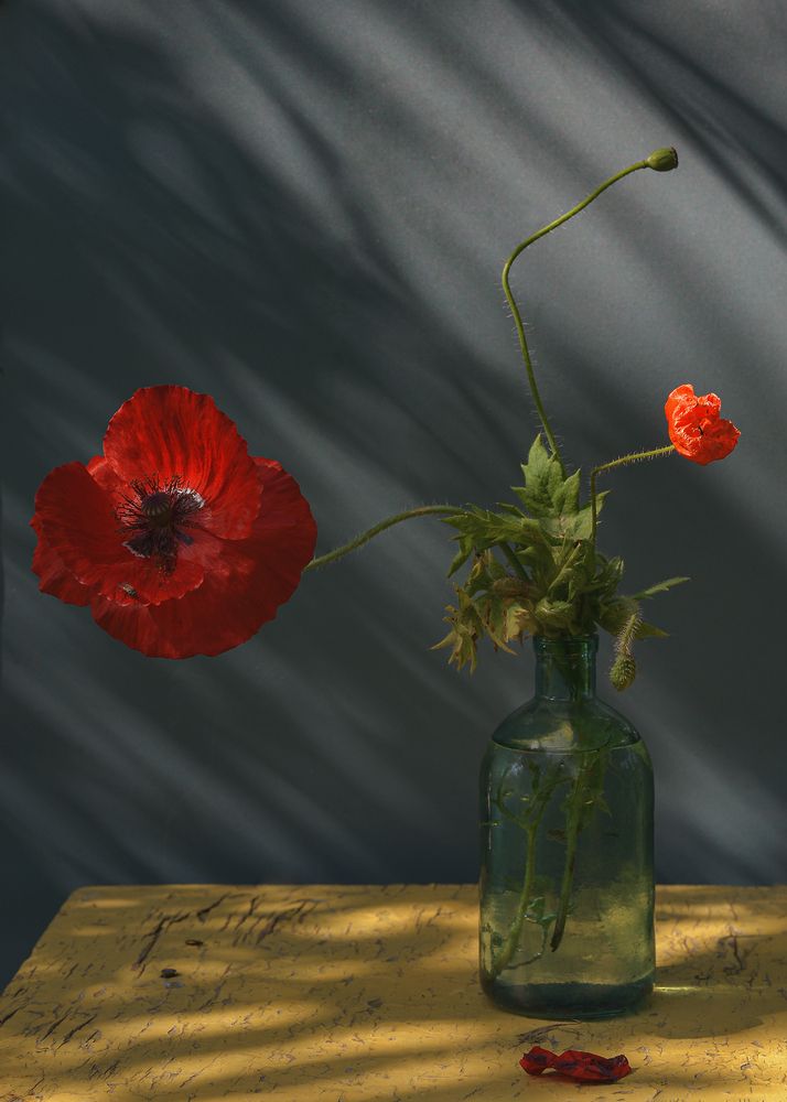 Photograph by Aliaksei Shandalin