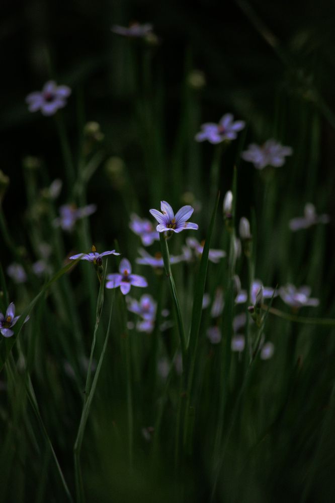 Photograph by Olivka Ulyanova