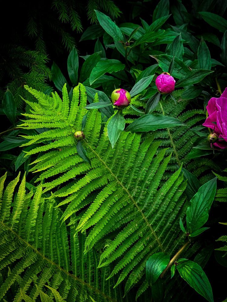 Photograph by Анна Пигулевская