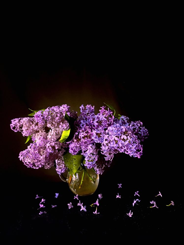 Букет сирени