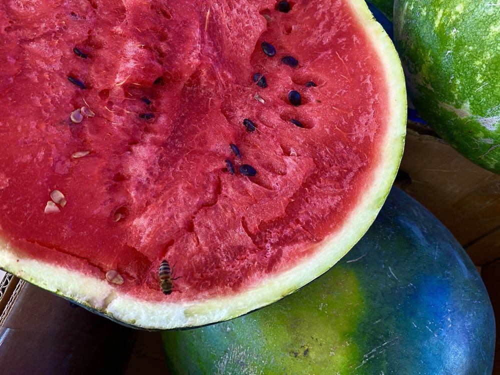 Photograph by Сергей Смирнов